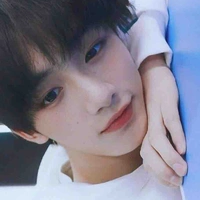 Đinh Trình Hâm 