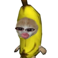tác giả cutii
