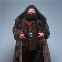 Rubeus Hagrid