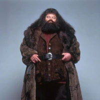 Rubeus Hagrid