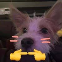 Tác giả good girl s1 không ai có cửa s2