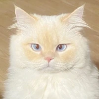 Buttercup