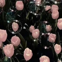 Tổng hợp nhân vật phụ