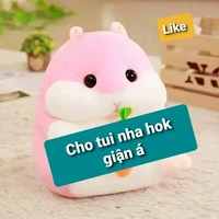 Y/N