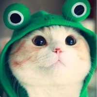 Tgia cutiii