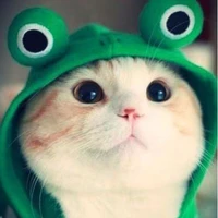 Tgia cutiii