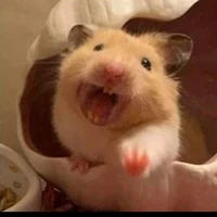 gọi tớ là Shioraka💕