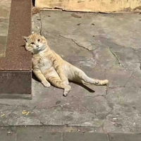 Bias ai ng đó tèo ༎ຶ‿༎ຶ