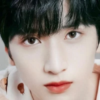 Nghiêm Hạo Tường *anh*