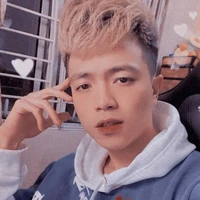 Hoài Anh - MT Vịt