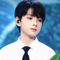 Vương Lỗ Kiệt