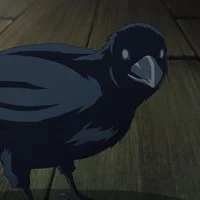 kuro