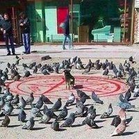 Đcm group này bị quỷ nhập rồi