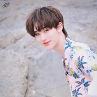 Đinh Trình Hâm