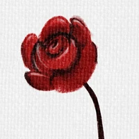 Hisoja Ria - Thiếu nữ bí ẩn