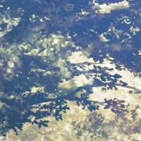 Nhân vật phụ