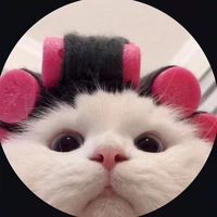 Kô Tác Giả Chaewons