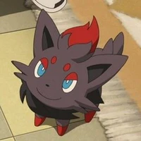 Zorua-N