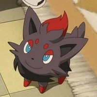 Zorua-N