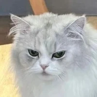 tg ngầu lòi