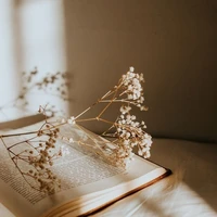 Tất cả mọi người