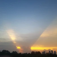 t/g