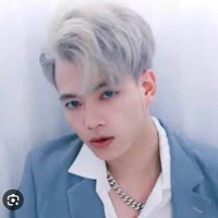 mr vịt