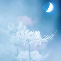 giang điệp / hi thành