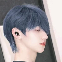 Chu Chí Hâm(A Chí-anh)