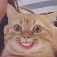 Tác giả bất ổn:)