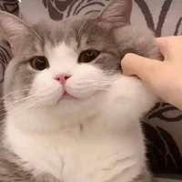 Tạ Rưỡi
