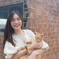 Pheng