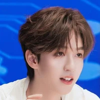 Hạ Tuấn Lâm