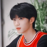 Lưu Diệu Văn