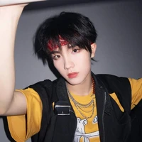 Tô Tân Hạo ( y )