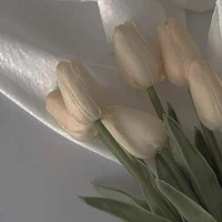 Đồng Dao + An Nguyệt