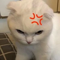 tác giả luôn bận💤