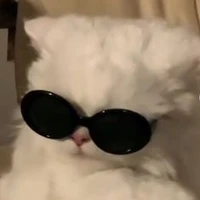 tác giả đang ngủ💤