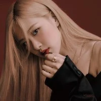 Park Chaeyoung(chị Y)