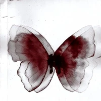 【 Maris 】Author