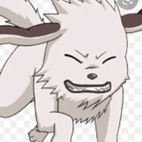 Akamaru