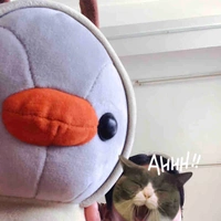 Tác giả cũng muốn đóng phim