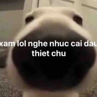 Cả lớp