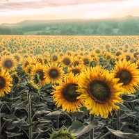 tất cả người ở đó