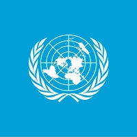 United Nations (UN)