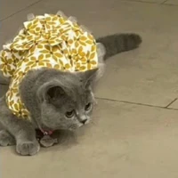Tác giả