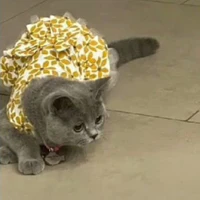 Tác giả