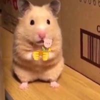 Ma cư tê