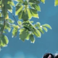 All - những người cần trừ