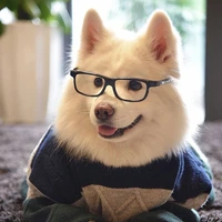 tui tác giả nè